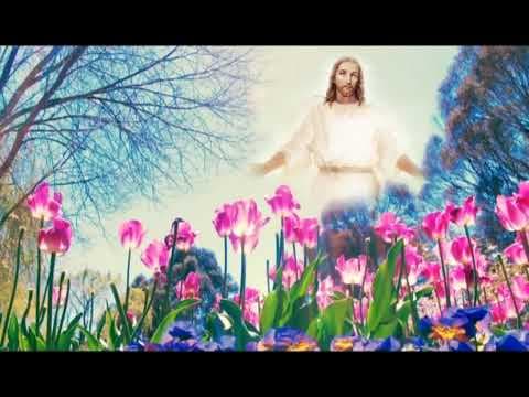 Christian devotional songs Malayalam evergreen 1 hour non stop